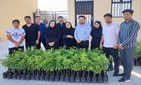 کاشت ۲۳ نهال بومی در مجتمع آموزش عالی سلامت بستک؛ گامی سبز برای آینده‌ای پایدار